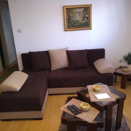 Apartment Vojinovic Arandjelovac Ngoại thất bức ảnh